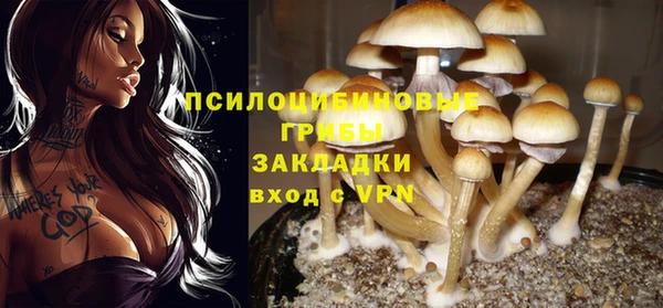 PSILOCYBIN Абаза