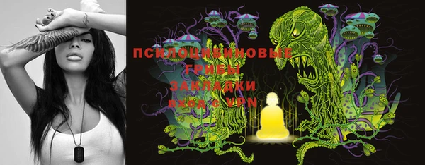 PSILOCYBIN Абаза