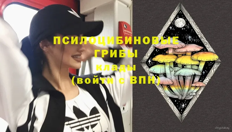 omg ссылки  Верхоянск  Галлюциногенные грибы Cubensis 